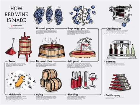 Decoding the Magical Properties of Wine Red: How It Works as a Treatment Base